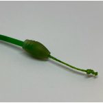 Catch Dacron Connector L