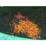 CATCH Champion Super Bream