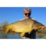 Catch Groundbait Dream