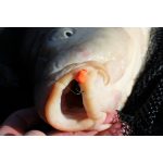 CATCH Waft-Air 8-10mm Power